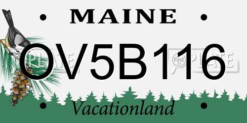 OV5B116 Maine License Plate