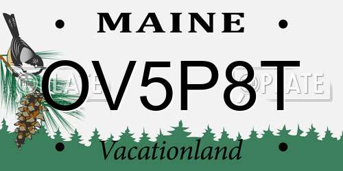 OV5P8T Maine License Plate