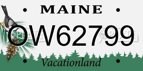 OW62799 Maine License Plate