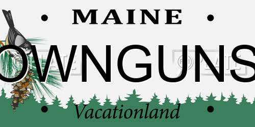 OWNGUNS Maine License Plate