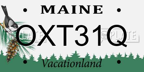 OXT31Q Maine License Plate