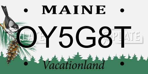 OY5G8T Maine License Plate