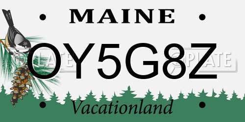 OY5G8Z Maine License Plate