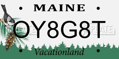 OY8G8T Maine License Plate