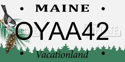 OYAA42 Maine License Plate
