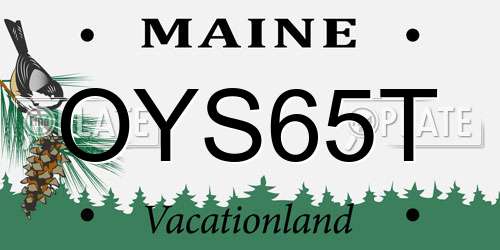 OYS65T Maine License Plate