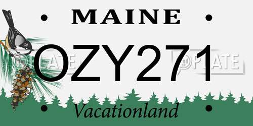 OZY271 Maine License Plate