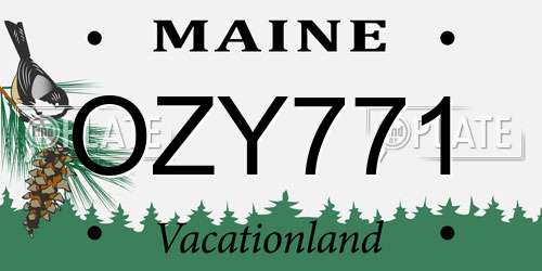 OZY771 Maine License Plate