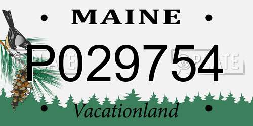 P029754 Maine License Plate