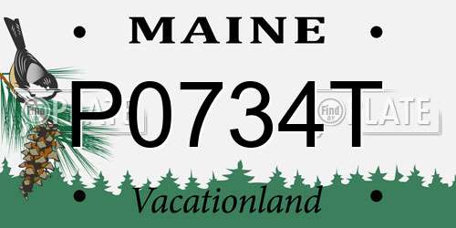 P0734T Maine License Plate