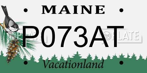 P073AT Maine License Plate