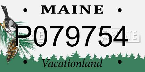 P079754 Maine License Plate