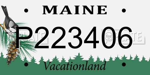 P223406 Maine License Plate