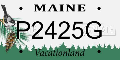 P2425G Maine License Plate