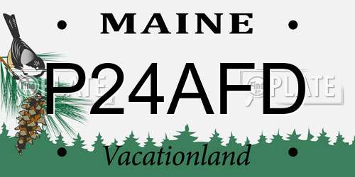 P24AFD Maine License Plate