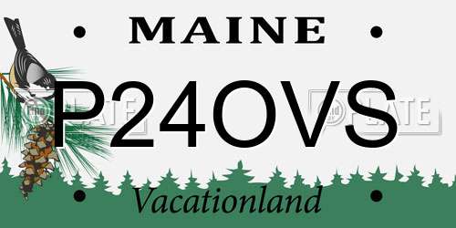 P24OVS Maine License Plate