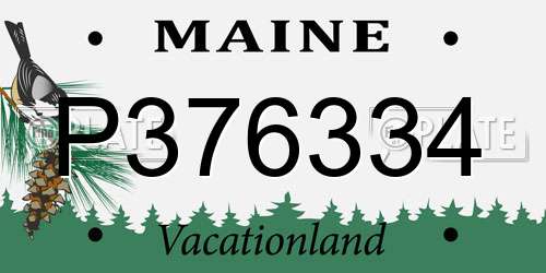 P376334 Maine License Plate