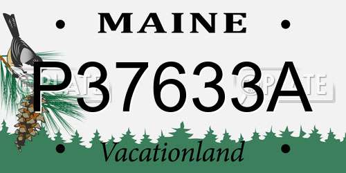P37633A Maine License Plate