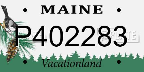 P402283 Maine License Plate