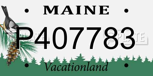 P407783 Maine License Plate