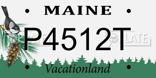 P4512T Maine License Plate