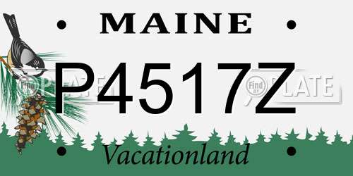 P4517Z Maine License Plate