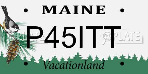 P45ITT Maine License Plate