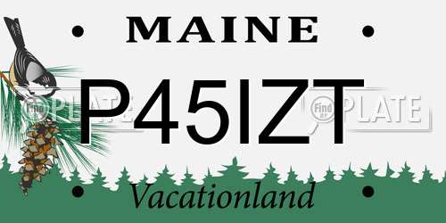 P45IZT Maine License Plate