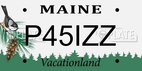P45IZZ Maine License Plate
