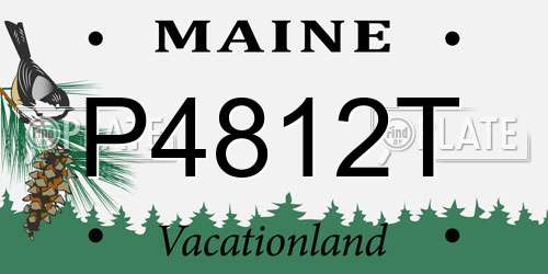 P4812T Maine License Plate
