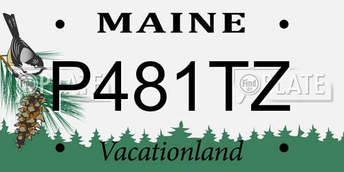 P481TZ Maine License Plate