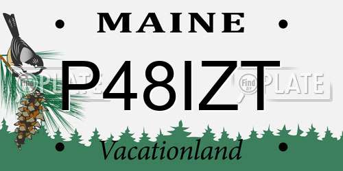 P48IZT Maine License Plate