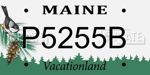 P5255B Maine License Plate