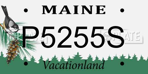 P5255S Maine License Plate