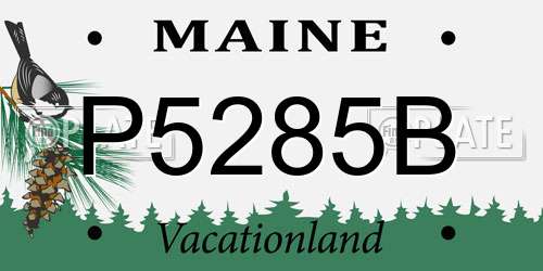 P5285B Maine License Plate
