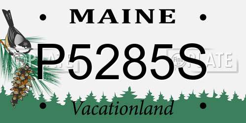 P5285S Maine License Plate