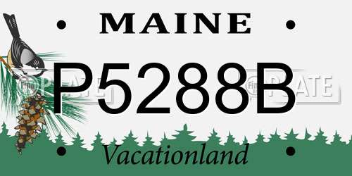 P5288B Maine License Plate