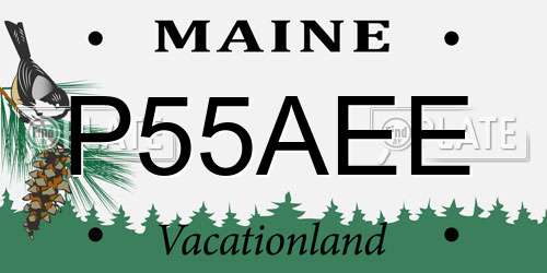 P55AEE Maine License Plate