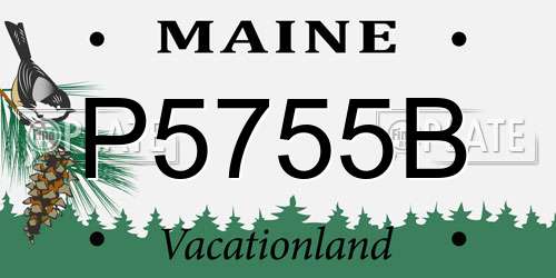 P5755B Maine License Plate