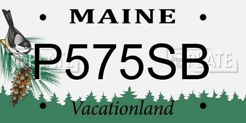 P575SB Maine License Plate