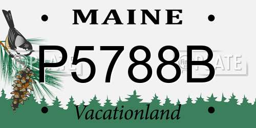 P5788B Maine License Plate