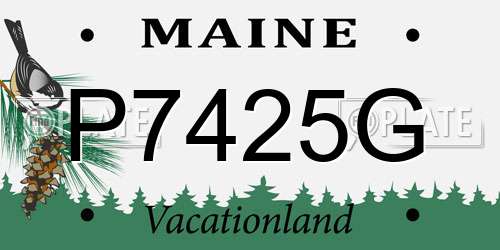 P7425G Maine License Plate