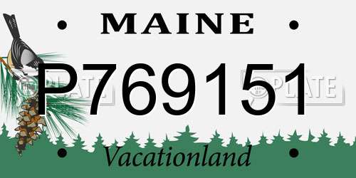 P769151 Maine License Plate