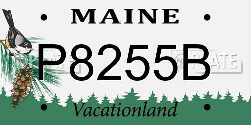 P8255B Maine License Plate