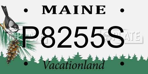 P8255S Maine License Plate