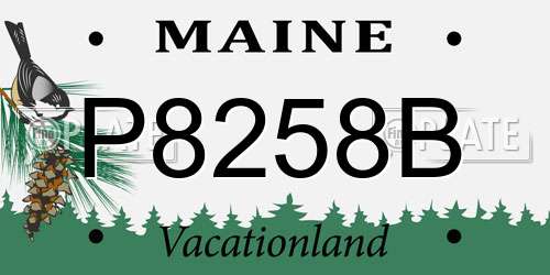 P8258B Maine License Plate
