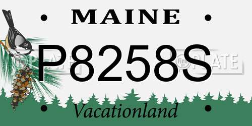 P8258S Maine License Plate
