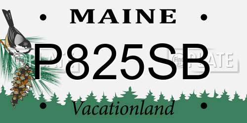 P825SB Maine License Plate