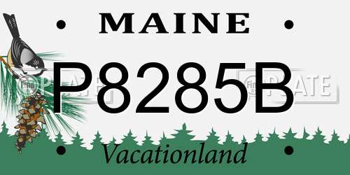 P8285B Maine License Plate