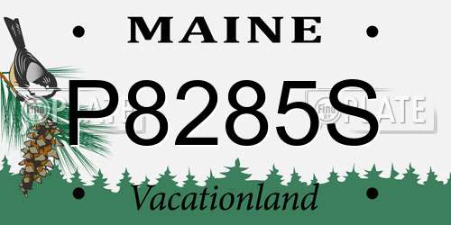 P8285S Maine License Plate